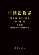 放大镜特效