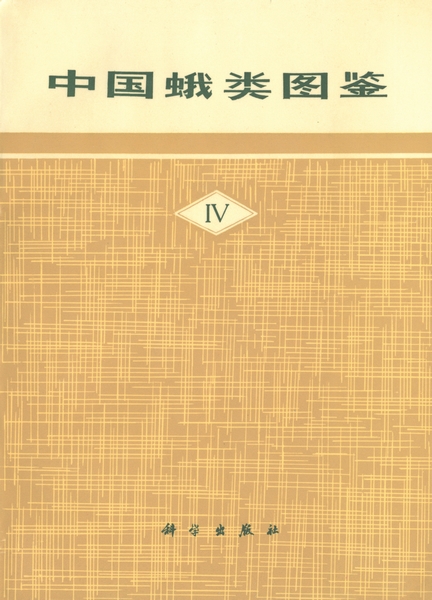 放大镜特效