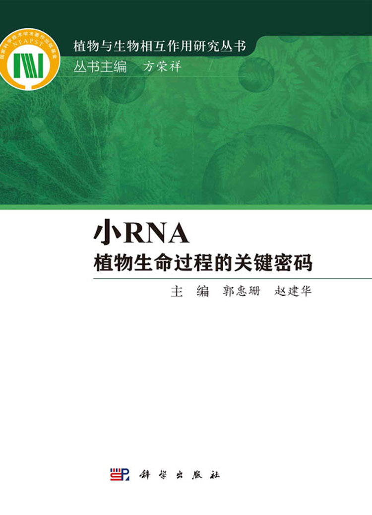 放大镜特效