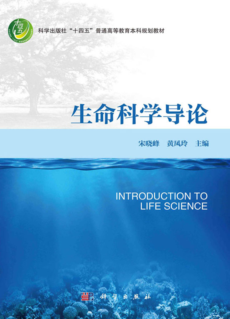 放大镜特效