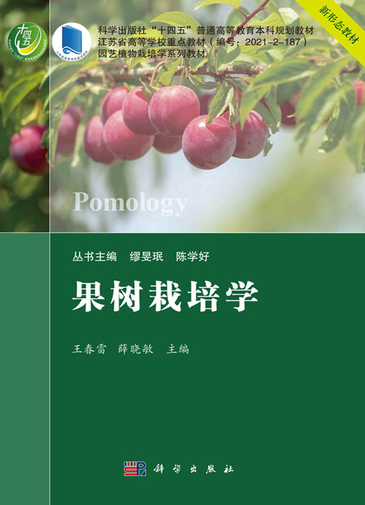 放大镜特效