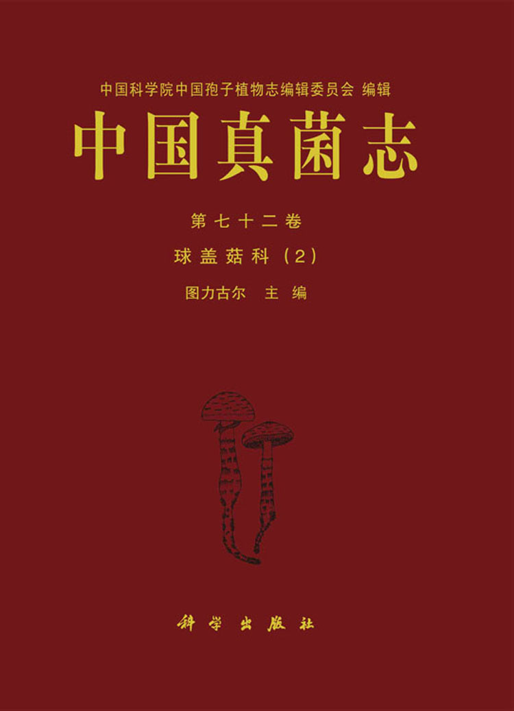放大镜特效