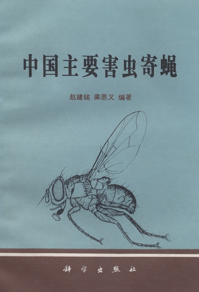 放大镜特效