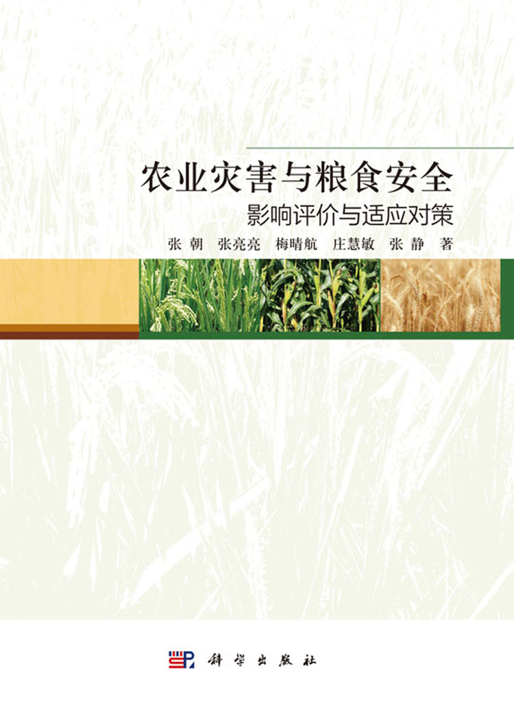 放大镜特效