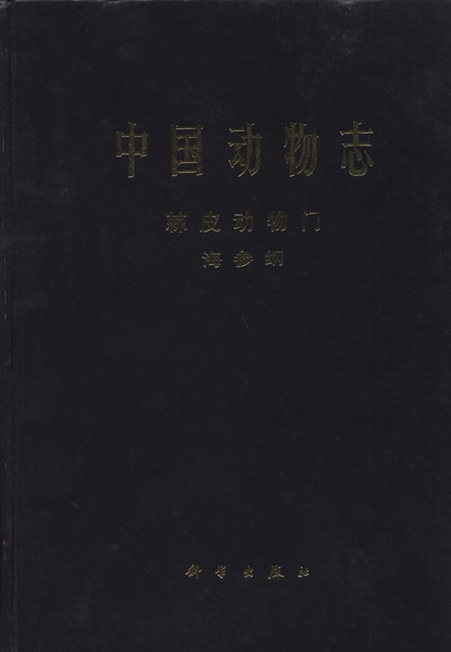 放大镜特效