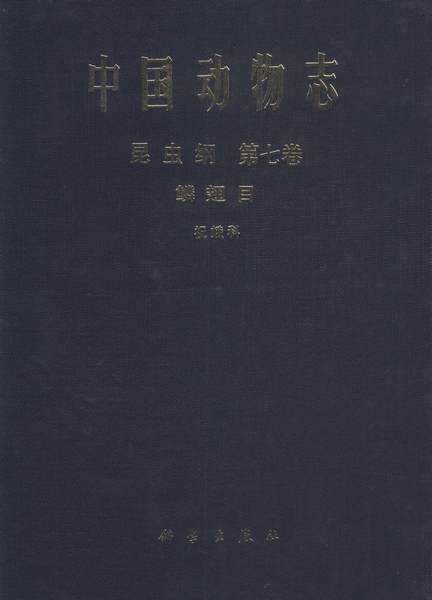 放大镜特效