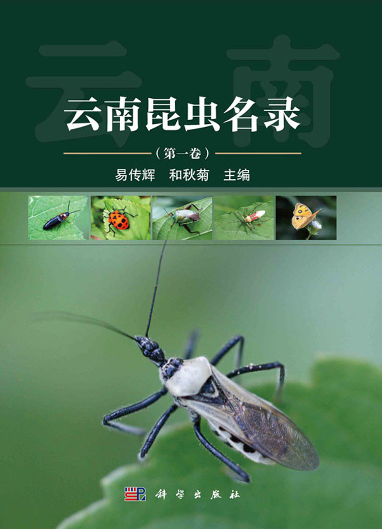 放大镜特效