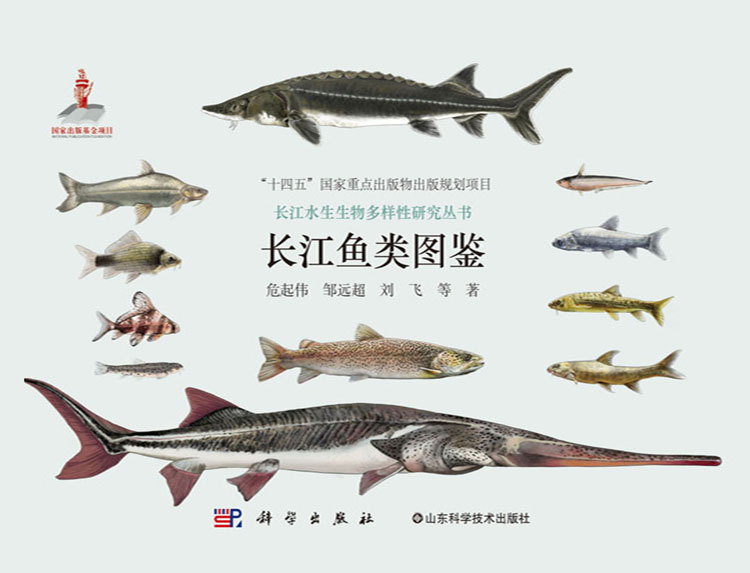 放大镜特效