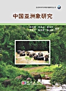 放大镜特效