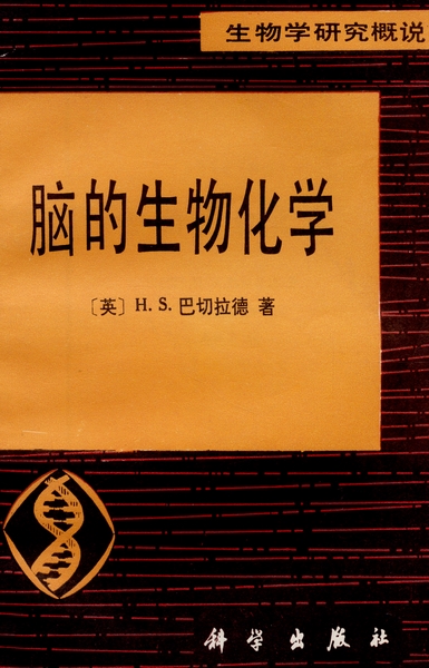 放大镜特效