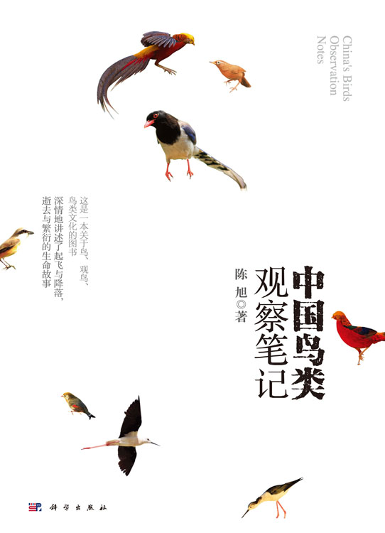 放大镜特效
