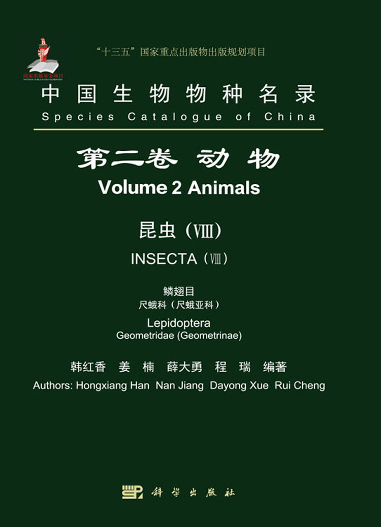 放大镜特效