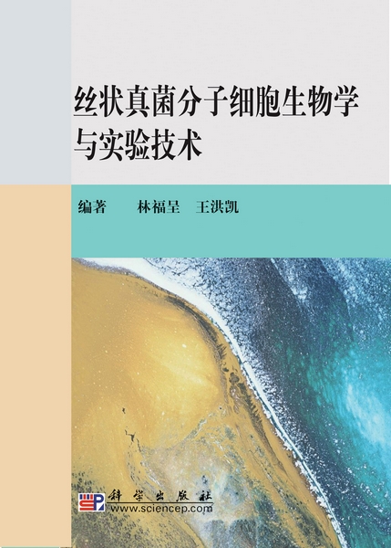 放大镜特效