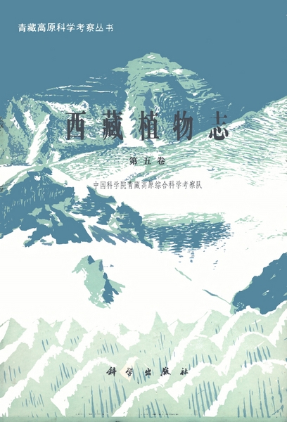 放大镜特效
