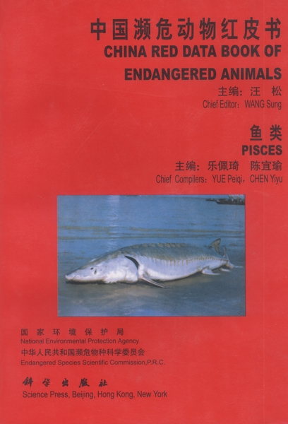 放大镜特效