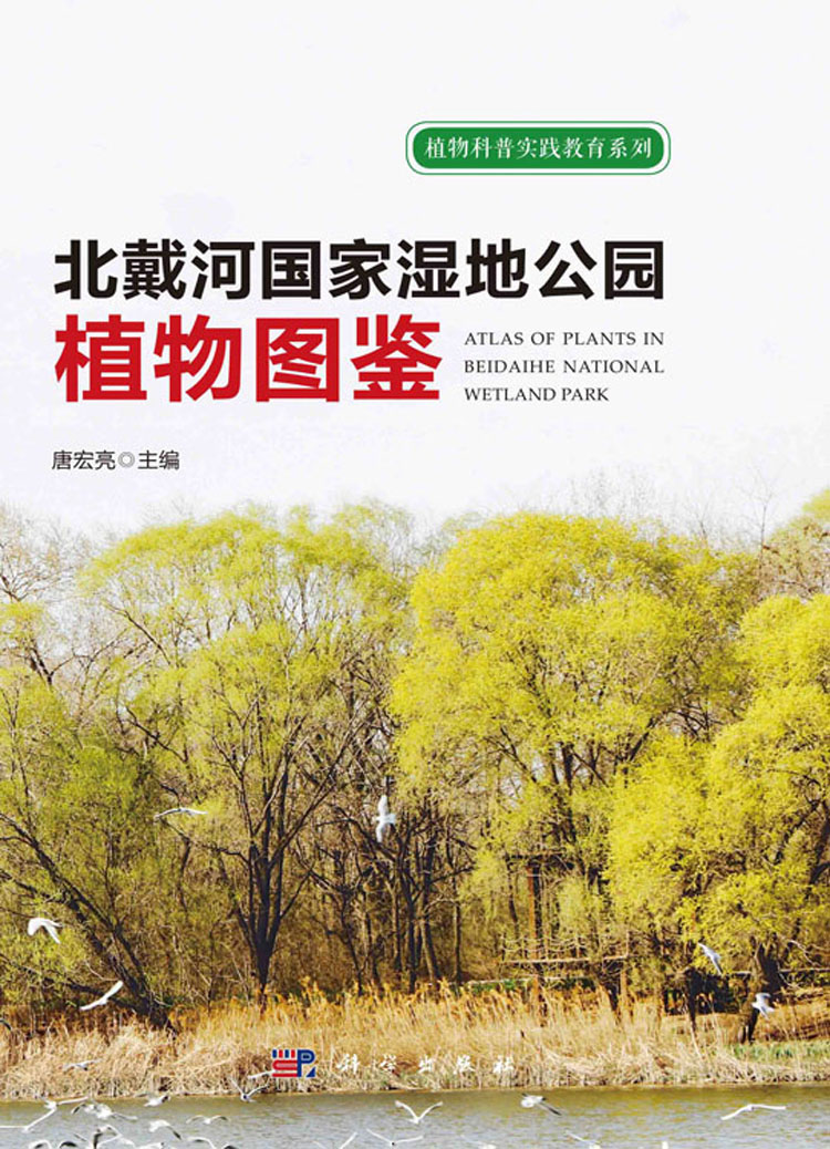 放大镜特效