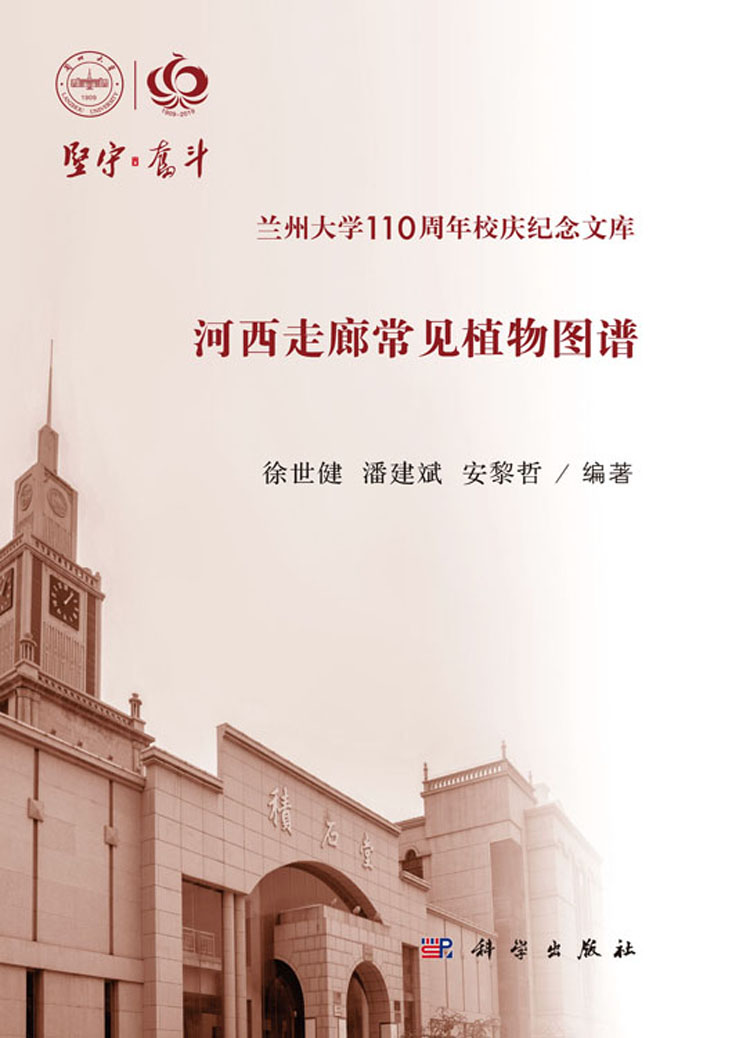 放大镜特效