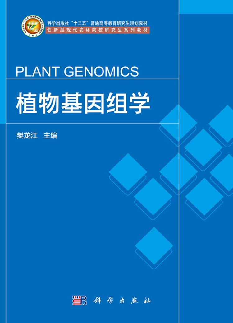 放大镜特效