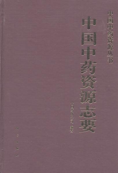 放大镜特效