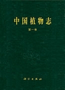 放大镜特效