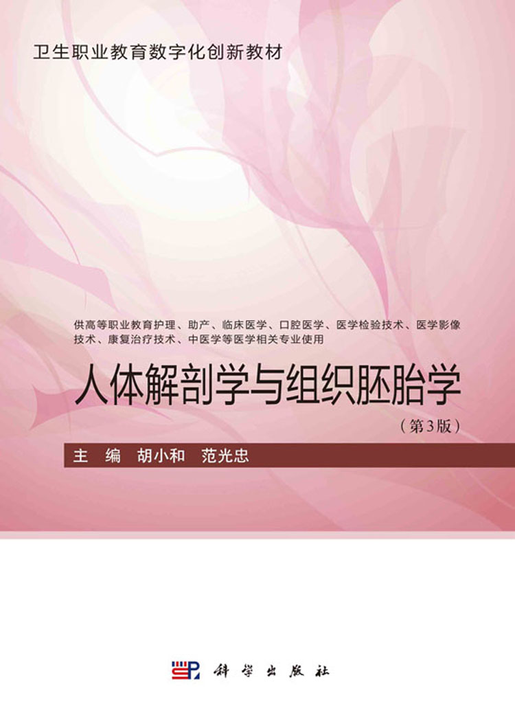 放大镜特效